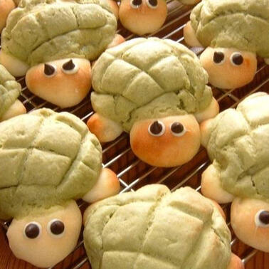 turtle melon pan